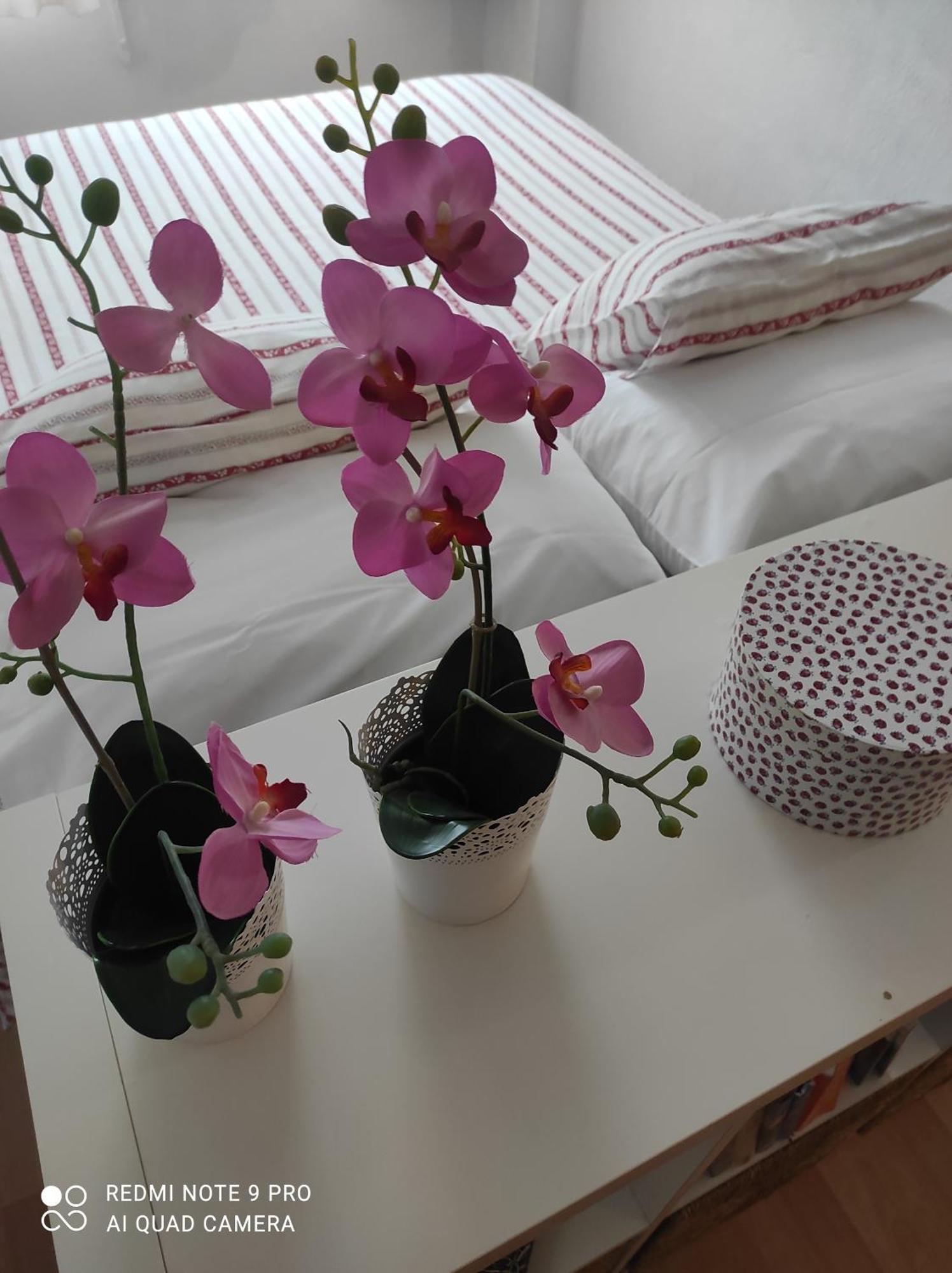 Appartement San Francisco Sea View à Benalmádena Extérieur photo